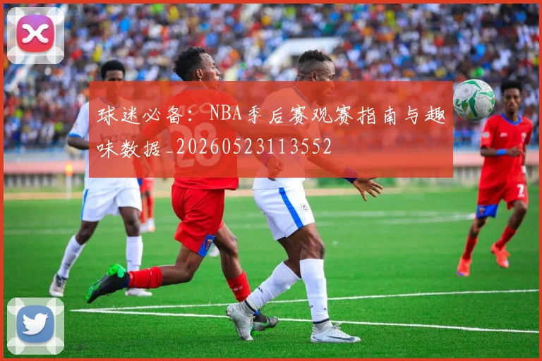 球迷必备：NBA季后赛观赛指南与趣味数据_20260523113552