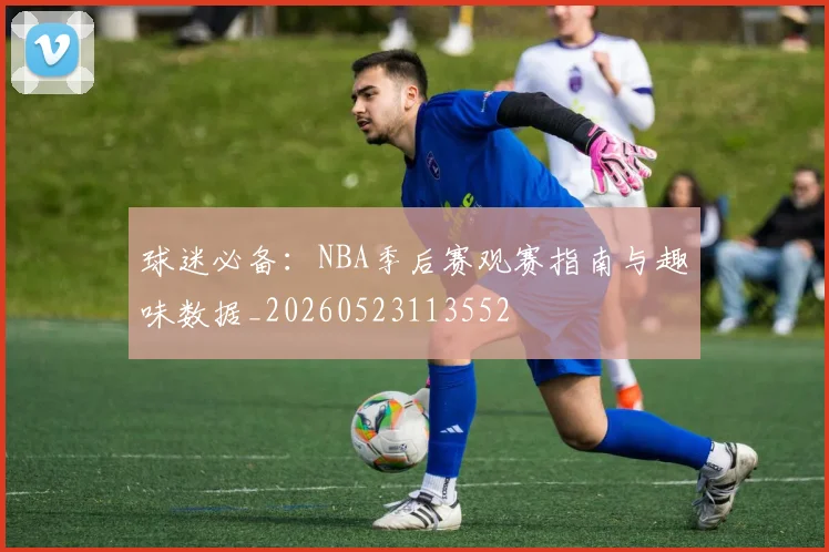 球迷必备：NBA季后赛观赛指南与趣味数据_20260523113552